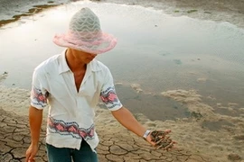 Ảnh minh họa. (Ảnh: Huỳnh Sử/TTXVN)