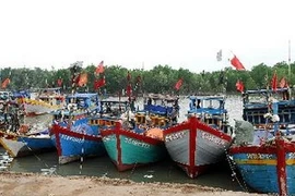 Ảnh minh họa. (Ảnh: Mạnh Linh/TTXVN)