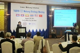 Quang cảnh Hội nghị. (Ảnh: Hoàng Anh Tuấn/Vietnam+)