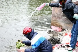 Ảnh minh họa. (Nguồn: ttvn.vn)