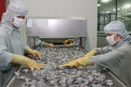 Ảnh minh họa. (Ảnh: Huy Hùng/TTXVN)