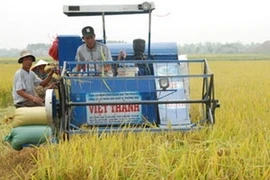 Ảnh minh họa (Nguồn: Internet)