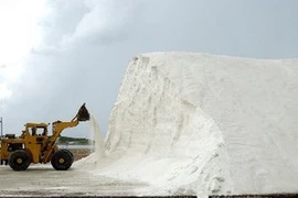 Ảnh minh họa. (Nguồn: TTXVN)