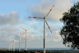 Ảnh minh họa. (Nguồn: Ngọc Hà/TTXVN)