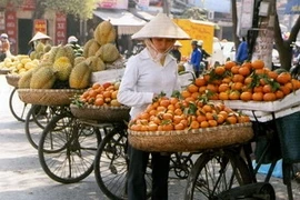 Hàng rong lấn chiếm lòng đường Trần Khát Chân. Ảnh minh họa. (Ảnh: Bùi Tường/TTXVN) 