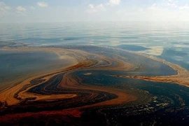 Ảnh minh họa. (Nguồn: economist.com)