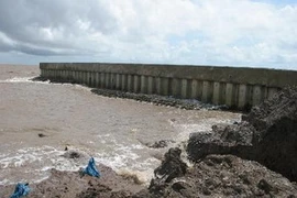 Ảnh minh họa. (Ảnh: Huỳnh Sử/TTXVN)