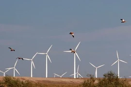 Các máy phát điện bằng sức gió tại một cánh đồng năng lượng gió ở Altay, Trung Quốc. (Nguồn: THX/TTXVN)