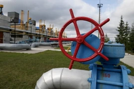  Đường ống dẫn khí đốt tại trạm cung cấp khí gần làng Volovets, miền Tây Ukraine. (Nguồn: Reuters/TTXVN)
