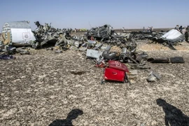 Mảnh vỡ máy bay A321 tại hiện trường vụ rơi ở Wadi el-Zolmat, Ai Cập. (Nguồn: AFP/TTXVN)
