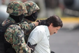 Cảnh sát dẫn độ El Chapo tại Mexico City ngày 22/2/2014. (Nguồn: THX/TTXVN)