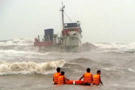 Khu vực Bắc Biển Đông đã có gió Đông Bắc mạnh, biển động