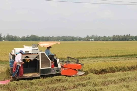 Ảnh chỉ có tính minh họa. (Ảnh: Phúc Sơn/TTXVN)