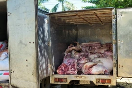 Chiếc xe tải chở thịt lợn bẩn. (Ảnh: Dương Chí Tưởng/TTXVN)