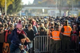 Người di cư tại khu vực biên giới Slovenia-Áo. (Nguồn: AFP/TTXVN)