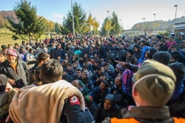 Người di cư tại khu vực biên giới Slovenia-Áo. (Nguồn: AFP/TTXVN)