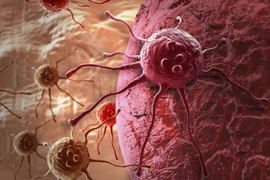 Ảnh chỉ có tính minh họa. (Nguồn: prime.sg)