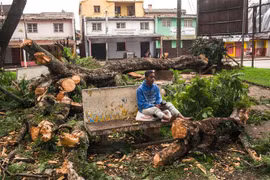 Cây cối bị gió quật đổ sau khi bão Batsirai đổ bộ vào thành phố Antsirabe, Madagascar ngày 6/2/2022. (Ảnh: AFP/TTXVN)