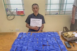 Đối tượng Giàng Vả Chía và tang vật. (Ảnh: TTXVN phát)