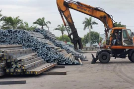 Ảnh minh họa. (Nguồn: Trọng Lịch/TTXVN)