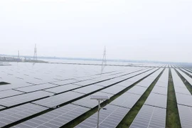 Những tấm pin năng lượng mặt trời của Nhà máy điện mặt trời Gio Thành 1, Quảng Trị. (Ảnh: Nguyên Lý/TTXVN)