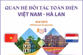 [Infographics] Quan hệ Đối tác Toàn diện Việt Nam-Hà Lan