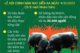 [Infographics] Đặc sắc Lễ hội chọi trâu truyền thống Đồ Sơn 2022