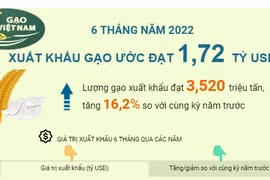 [Infographics] 6 tháng năm 2022: Xuất khẩu gạo ước đạt 1,72 tỷ USD