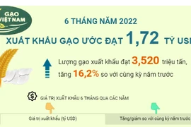 [Infographics] 6 tháng năm 2022: Xuất khẩu gạo ước đạt 1,72 tỷ USD