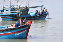 Các thuyền đều hướng về cửa biển chủ tàu làm lễ cúng biển cầu mong cho anh em thuyền viên khỏe mạnh và có một vụ đánh bắt mới tôm, cá đầy khoang. (Ảnh: Phạm Cường/TTXVN)