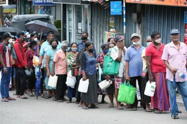 Người dân xếp hàng chờ mua nhiên liệu để đun nấu tại Colombo, Sri Lanka, ngày 17/6/2022. (Ảnh: THX/TTXVN)