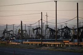 Giá dầu lao dốc do lo ngại về khả năng nhu cầu năng lượng giảm