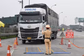 Chiếc xe chở quá tải tới 39,1%. (Nguồn: plo.vn)