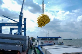 Bốc dỡ hàng hóa tại cảng Tân Cảng Cái Cui, thành phố Cần Thơ. (Ảnh: Thanh Liêm/TTXVN)