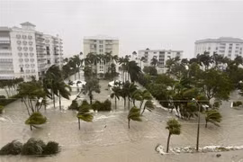 Ngập lụt trên đường phố ở Naples, bang Florida (Mỹ) do mưa lớn khi bão Ian đổ bộ, ngày 29/9/2022. (Ảnh: THX/TTXVN)
