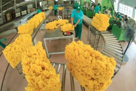 Chế biến mủ cao su phục vụ xuất khẩu tại nông trường Cao su Dầu Tiếng, tỉnh Bình Dương. (Ảnh: TTXVN)