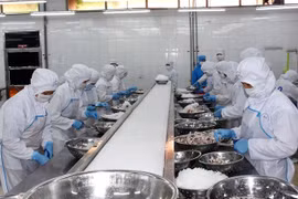 Chế biến thủy sản tại Công ty Cổ phần chế biến xuất nhập khẩu thủy sản Bà Rịa-Vũng Tàu. (Ảnh: Hoàng Nhị/TTXVN)