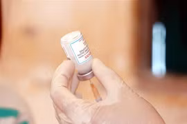 42.800 liều vaccine Moderna (liều 0,25ml) đã được Bộ Y tế cấp cho tỉnh Nam Định để triển khai tiêm phòng COVID-19 cho trẻ từ 5 đến dưới 12 tuổi trên địa bàn tỉnh. (Ảnh: Văn Đạt/TTXVN)