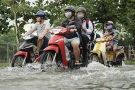 Cảnh triều cường ở khu vực xã Đa Phước, huyện Bình Chánh, TP Hồ Chí Minh. (Ảnh: Hồng Giang/TTXVN)