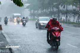 Ảnh minh họa. (Nguồn: Lê Minh Sơn/Vietnam+)