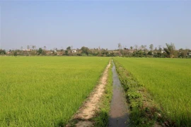 Ảnh minh họa. (Nguồn: Hưng Thịnh/TTXVN)