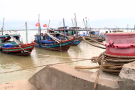 Tàu thuyền vào neo đậu, tránh trú bão. (Ảnh: Tá Chuyên/TTXVN)