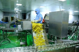 Dây chuyền đóng lọ ớt xuất khẩu tại nhà máy chế biến của Công ty CP chế biến thực phẩm xuất khẩu GOC. (Ảnh: Vũ Sinh/TTXVN)