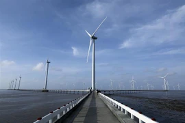 Nhà máy Điện gió Bạc Liêu có 62 turbin điện với tổng công suất dự tính 99MW. (Ảnh: Phan Tuấn Anh/TTXVN)