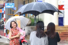 Ảnh minh họa. (Nguồn: TTXVN)