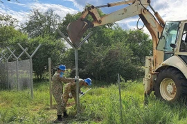Đội Công binh chôn cột chữ Y để làm hàng rào bảo vệ. (Nguồn: vnexpress.net)
