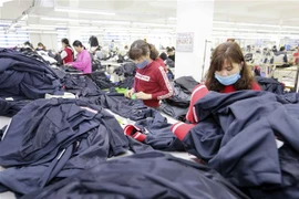 May hàng xuất khẩu tại Công ty TNHH Hưng Việt, Mỹ Hào, Hưng Yên. (Ảnh: Trần Việt/TTXVN)