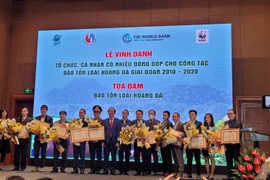 Các tổ chức, cá nhân được vinh danh. (Ảnh: PV/Vietnam+)