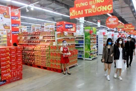 Trung tâm Thương mại và Đại siêu thị GO! Thái Bình. (Ảnh: Thế Duyệt/TTXVN)
