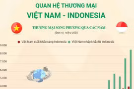 [Infographics] Quan hệ thương mại Việt Nam - Indonesia